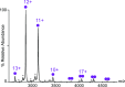Figure 1—figure supplement 2.