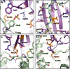 Figure 8—figure supplement 1.