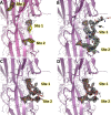 Figure 3—figure supplement 1.