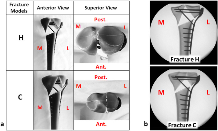 Fig. 2