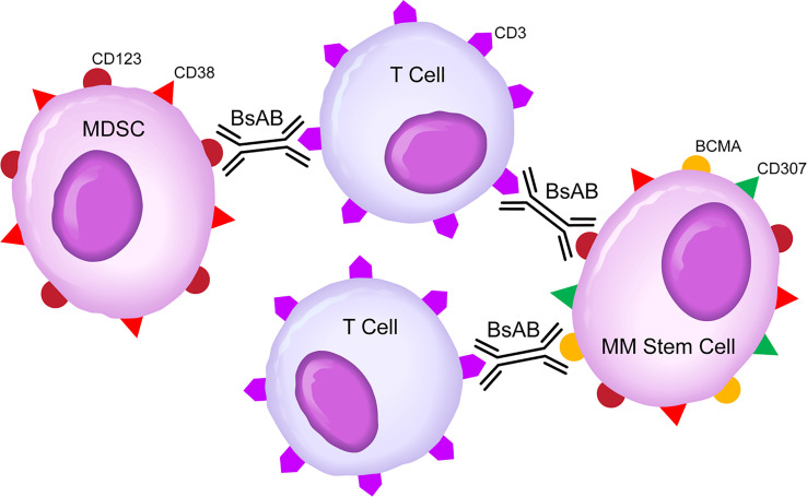 Figure 3