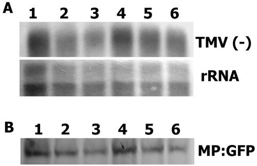 Figure 10.