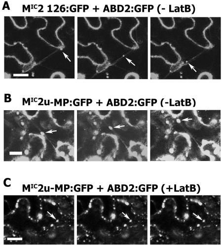 Figure 5.