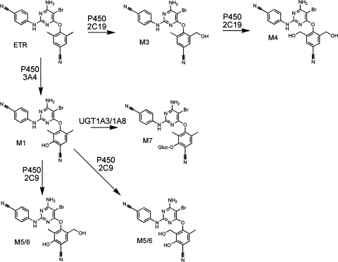 Fig. 10.