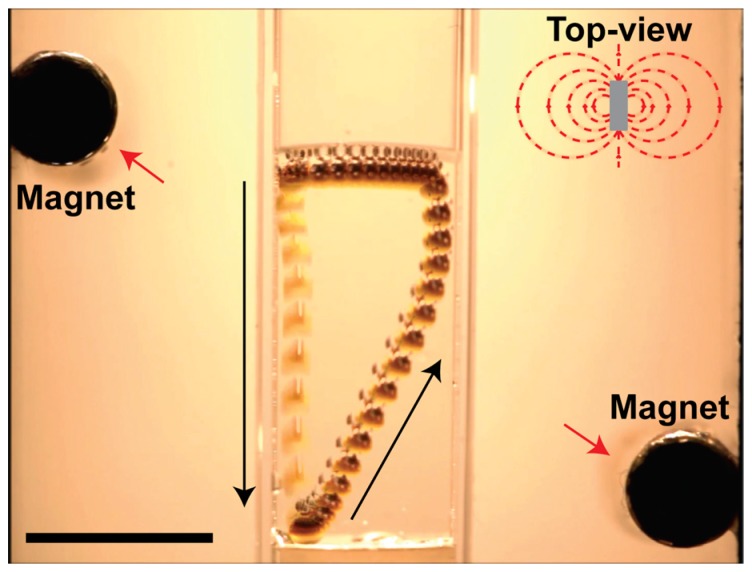 Figure 18