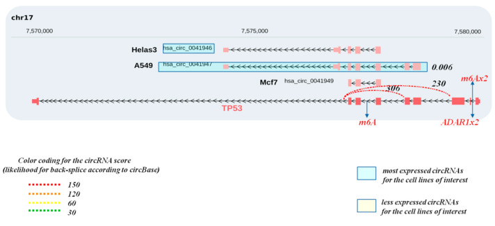 Figure 6