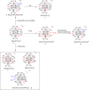 Scheme 2