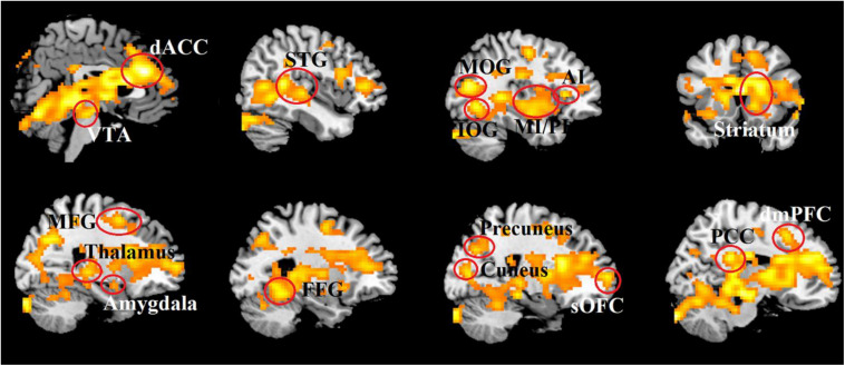 FIGURE 4