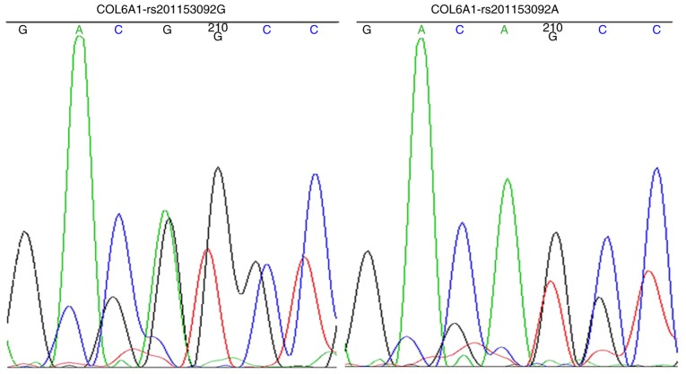 Figure 6.