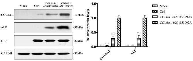 Figure 10.