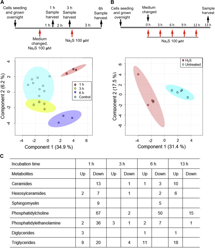 Figure 4