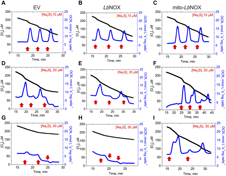 Figure 3