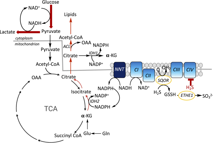 Figure 6