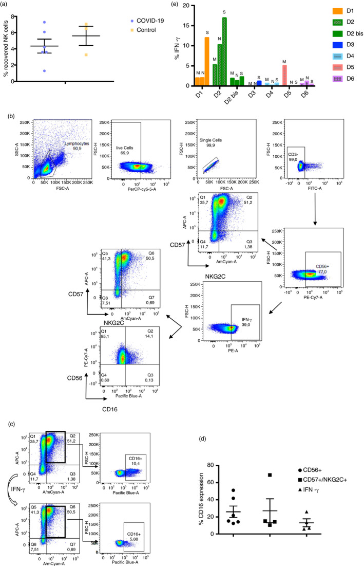 FIGURE 2