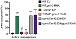 Figure 5—figure supplement 2.