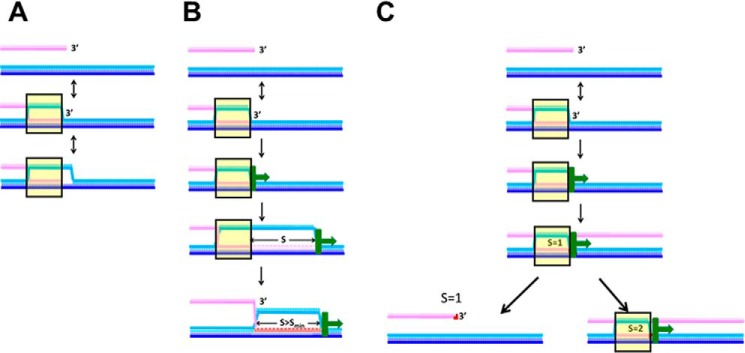 Figure 7.