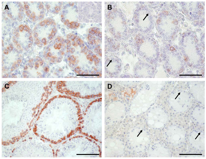 Fig. 9.