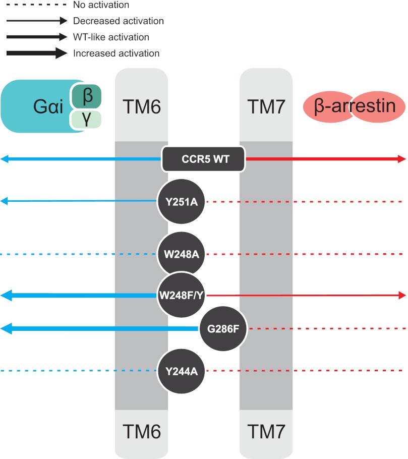 FIGURE 7.