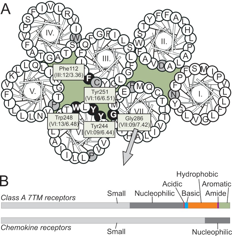 FIGURE 1.