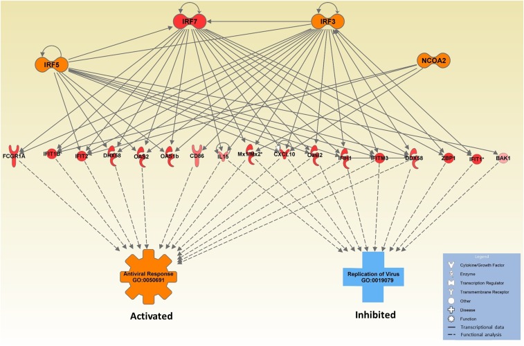 Figure 12