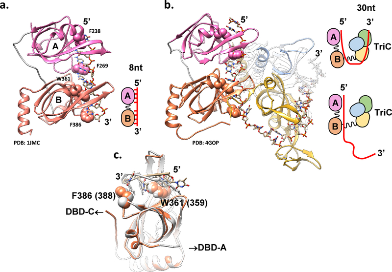 Figure 3: