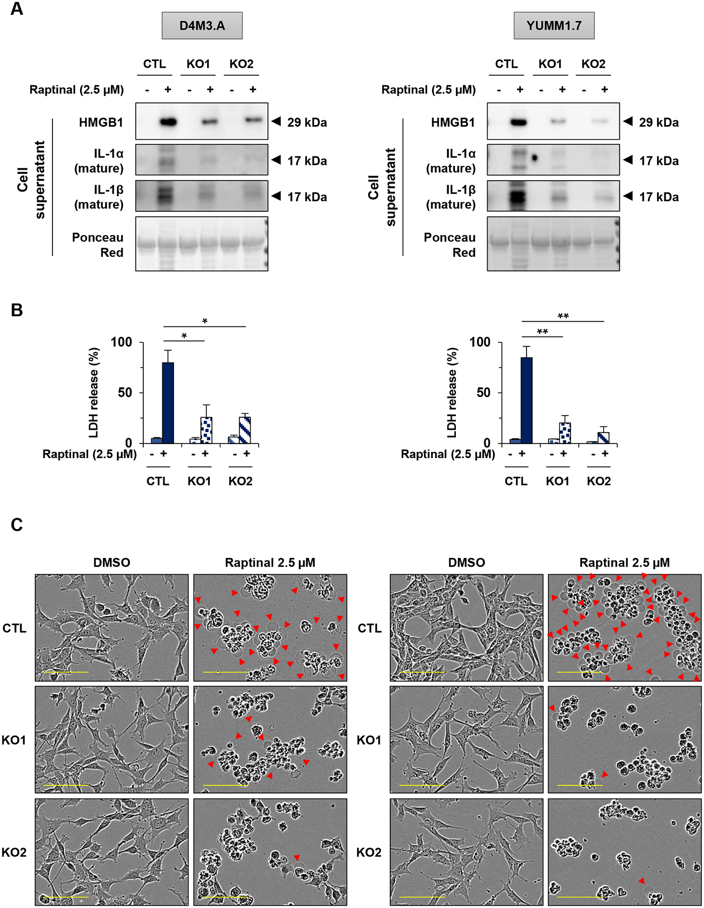 Figure 4: