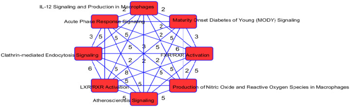 Figure 7: