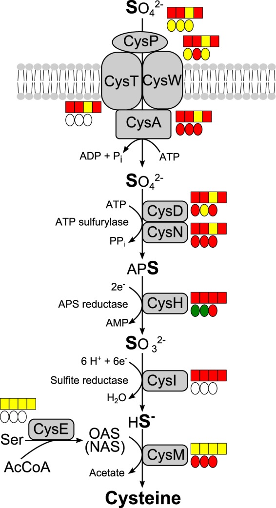 FIG 2