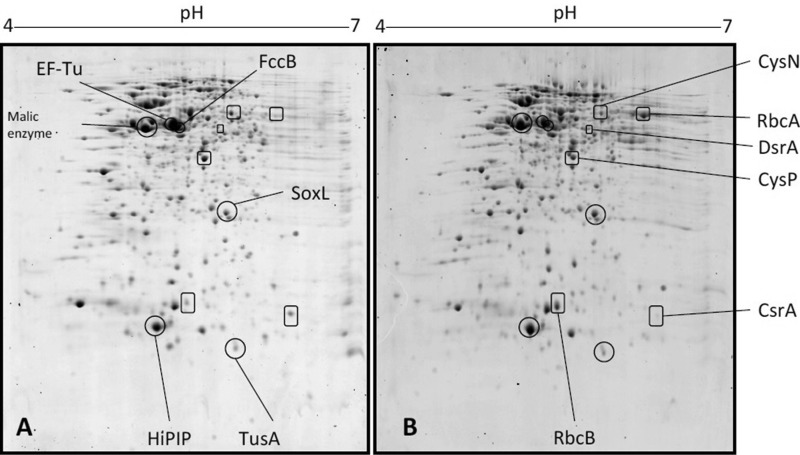 FIG 1