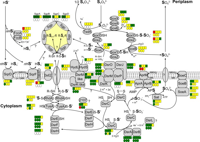 FIG 3