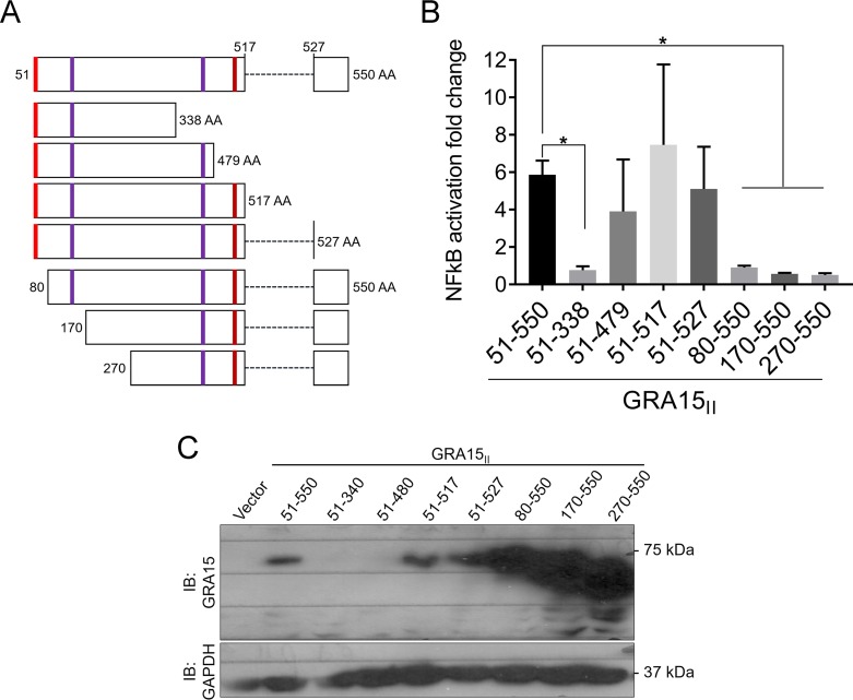 FIG 2