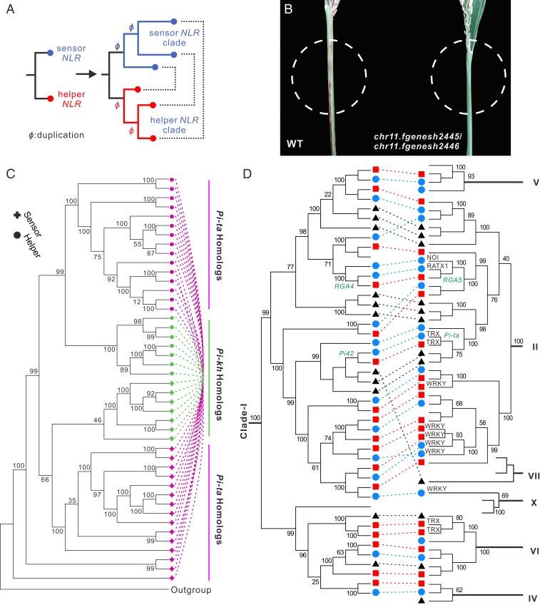 Fig. 4.