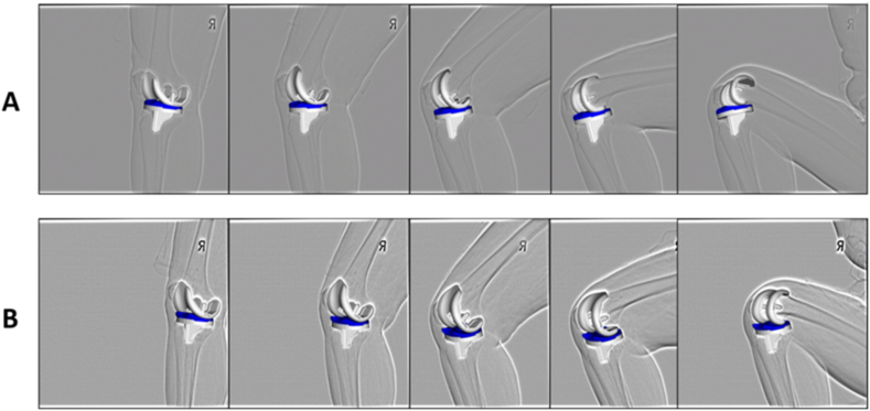 Fig. 2
