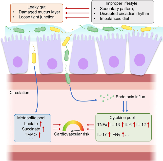 Figure 2: