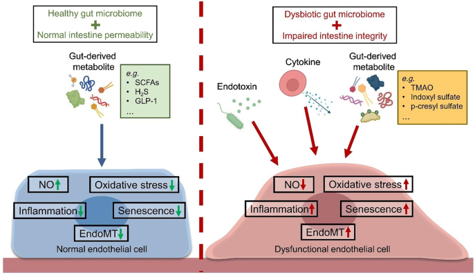 Figure 3: