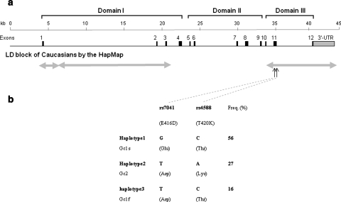 Fig. 1