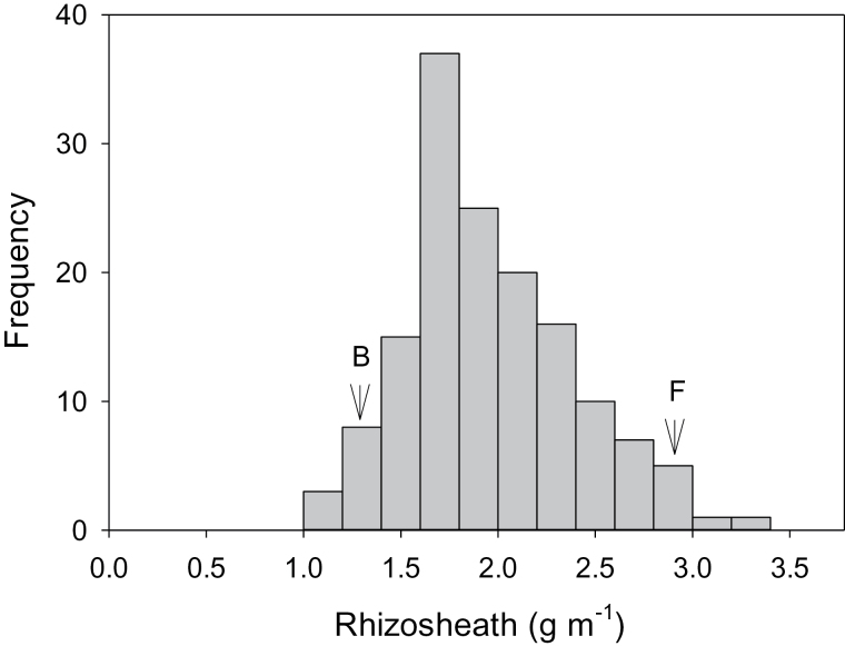 Fig. 8.