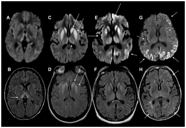 Fig. 8