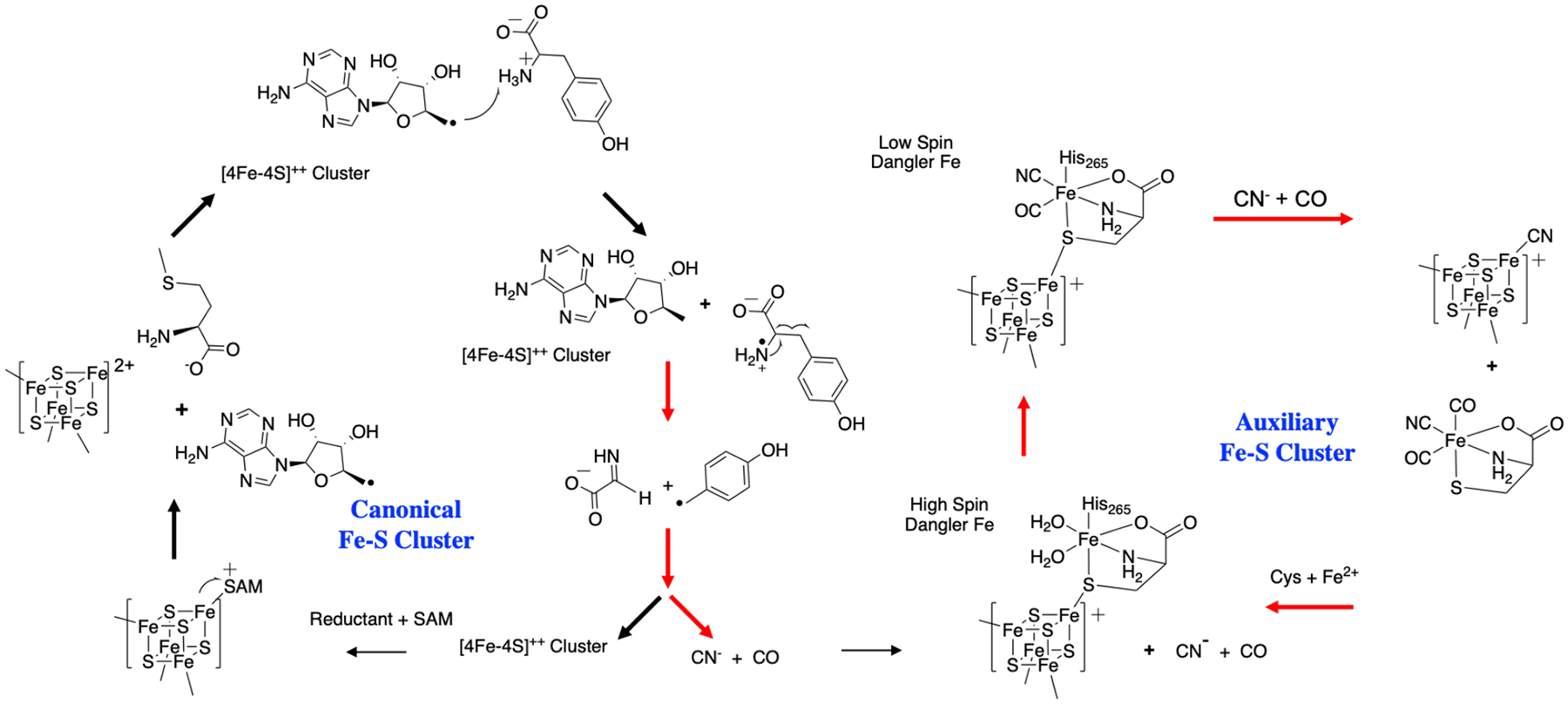 Figure 1: