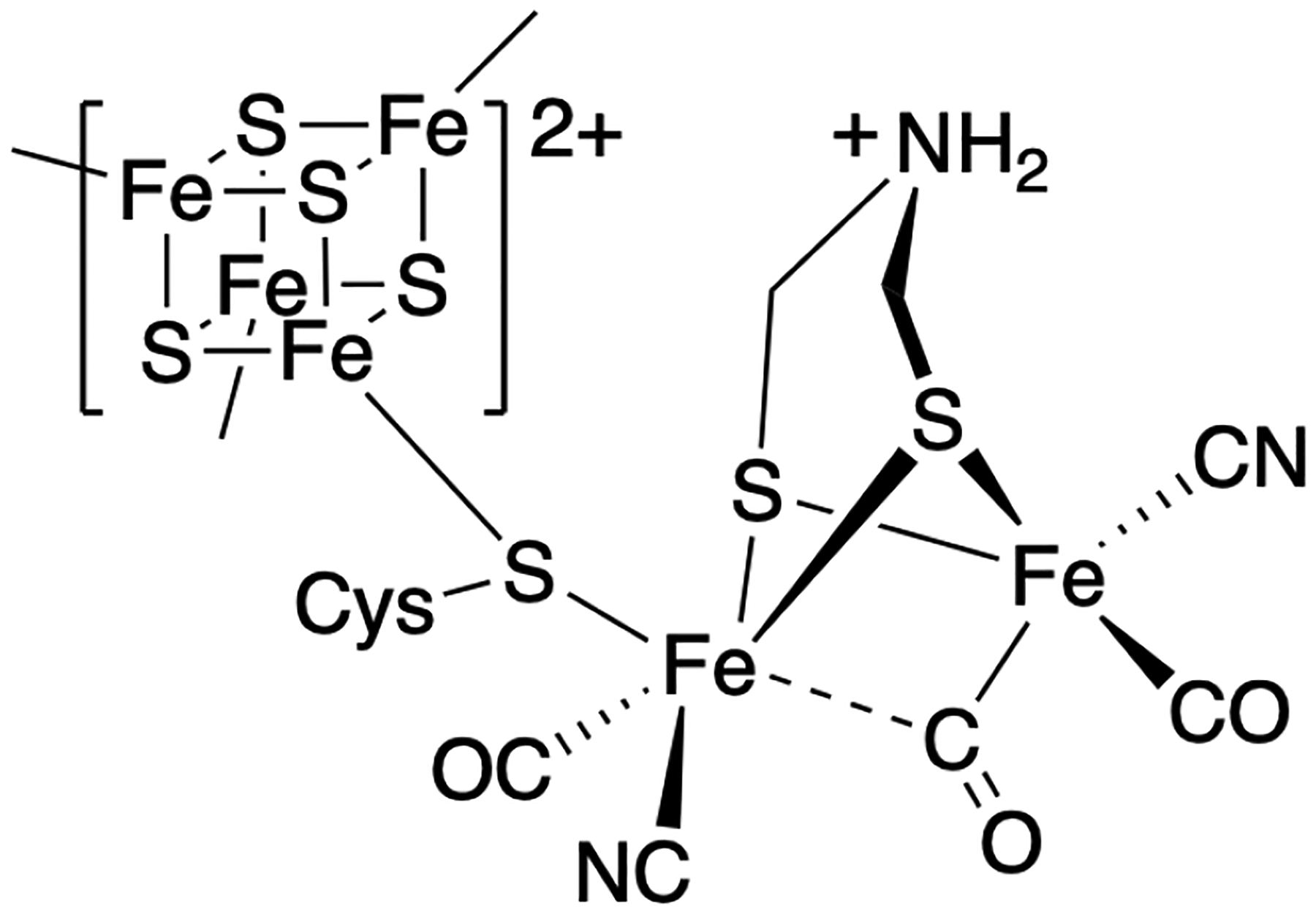 Scheme 1: