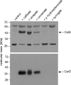 FIG. 6.