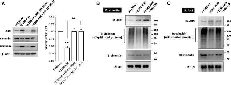 Fig. 5