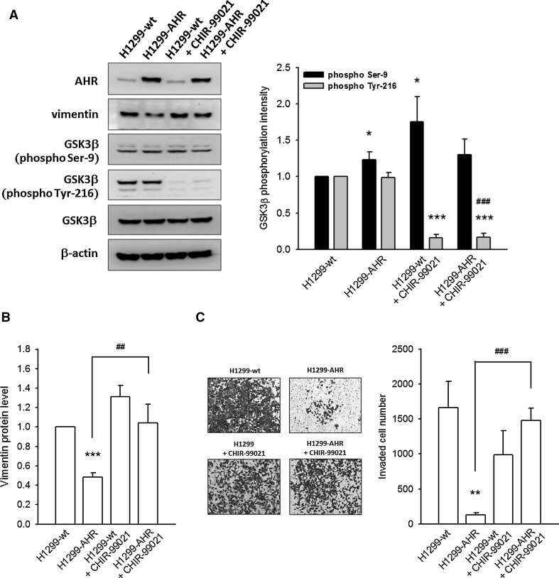 Fig. 6