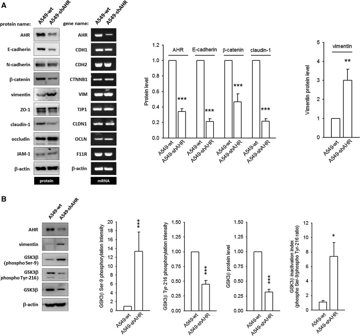 Fig. 7