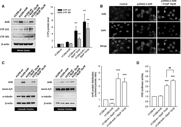 Fig. 4