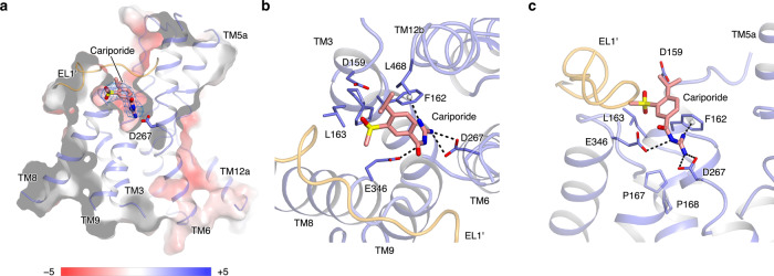 Fig. 4