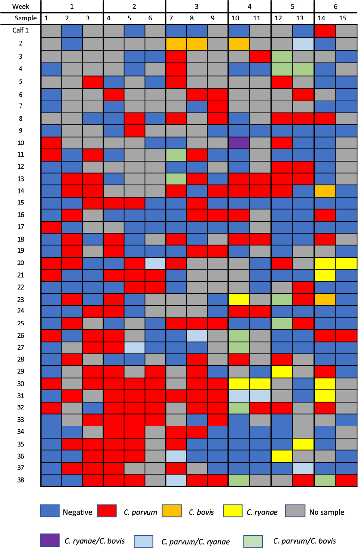 Fig. 2