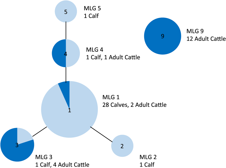 Fig. 4