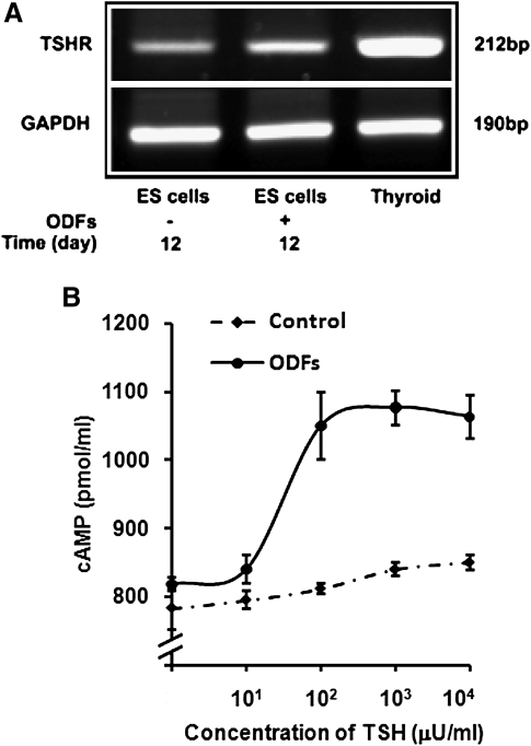 FIG. 5.