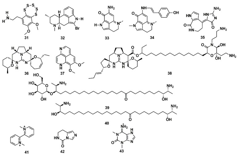 Figure 13